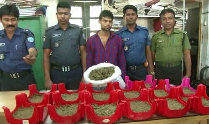 গাঁজাসহ-যুবক-আটক-Lakhimpur youth arrested with 10 kg of canes