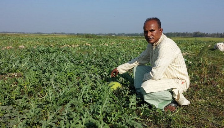 তরমুজের-বাম্পার-ফলন-Bamper yield of watermelon watermelon, peasants in hopes of profit