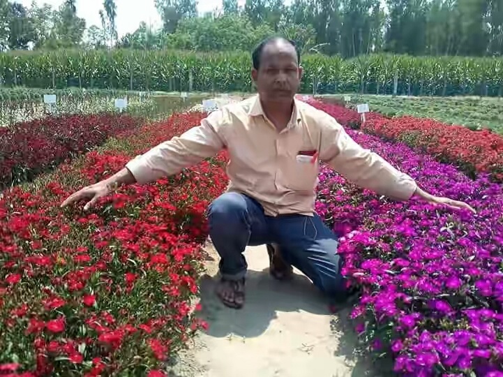 বিদেশী-ফুল-চাষ-It is possible to earn hundred crores by cultivating foreign flowers in Panchagarh